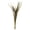 Basil, variant on Vickerman 28" Aspen Gold Splinter Grass, 11 oz Bundle, Dried