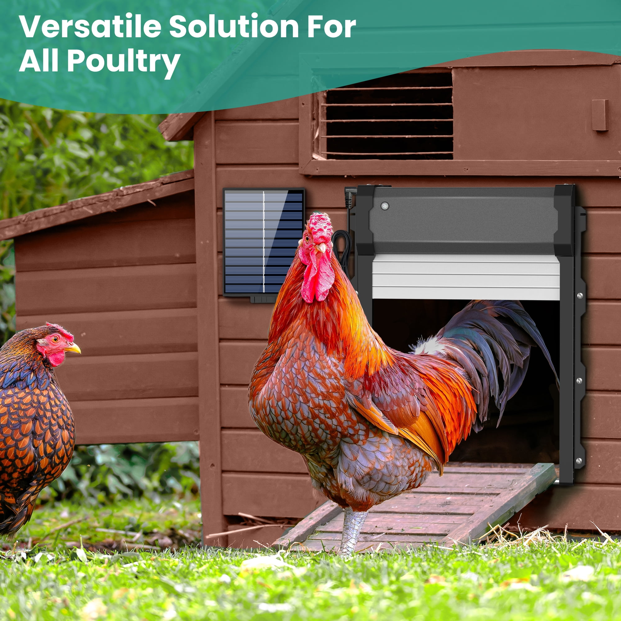Innvello  Automatic Chicken Coop Door with Timer & Light Sensor Auto chicken Doors
