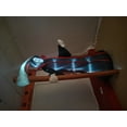 thumbnail image 3 of Inflatable Death with Sickle, 3 of 16