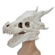 thumbnail image 4 of Máscara de Halloween ANGGREK Cráneo Dinosaurio Látex Realista, 4 of 8