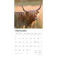 thumbnail image 4 of Highland Cows | 2026 12x24" (Hanging) Square Wall Calendar | Plastic-Free, 4 of 9