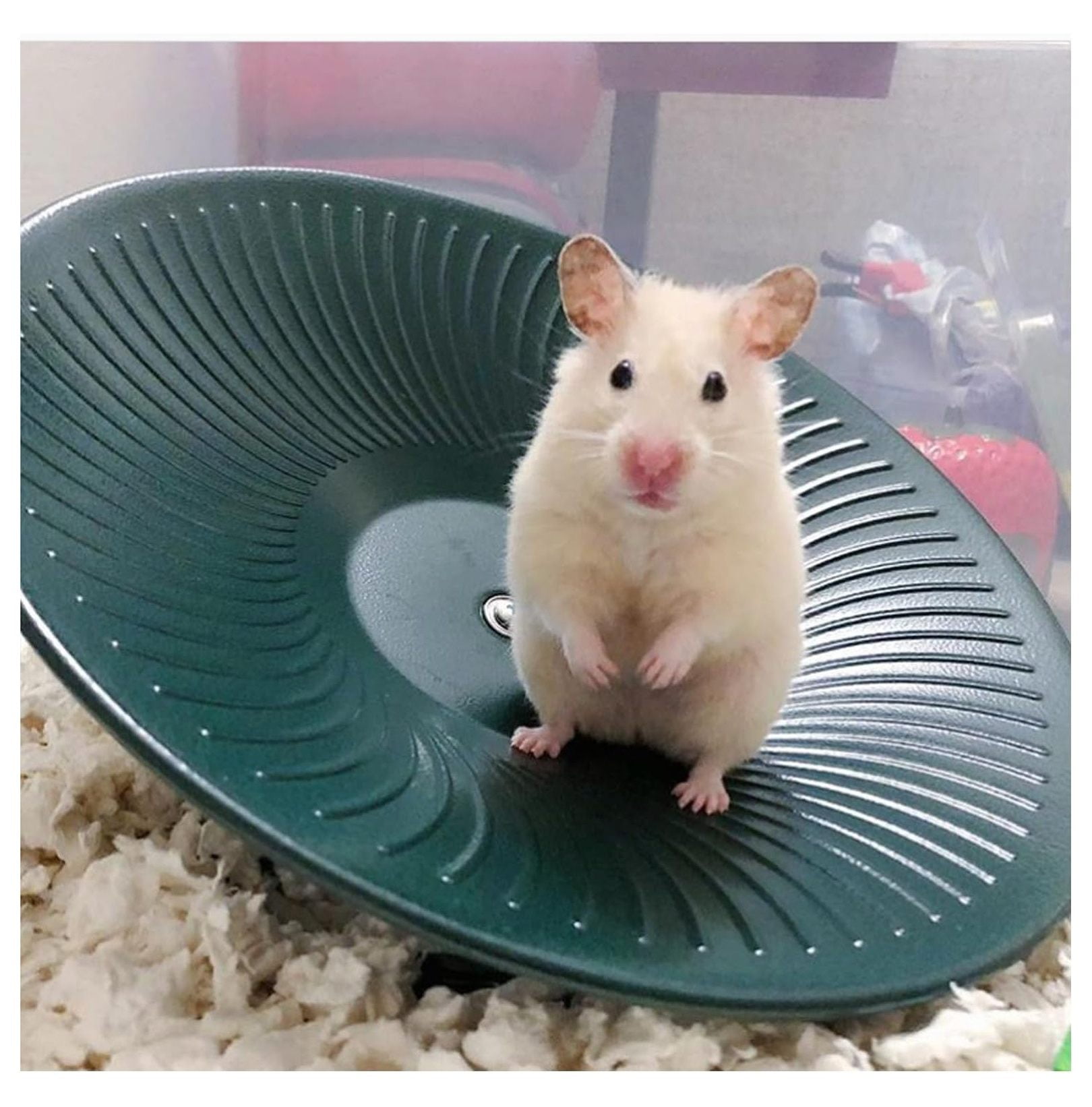 Treadmill Wheel 14" Black - All Metal Exercise Wheel for Chinchillas, Prairie Dogs, Rats, Hedgehogs, Sugar Gliders, Squirrels, Degus, Hamsters & Other Small Animals - Smooth, Fast, Silent, Durable