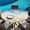 Brown Blue, variant on Round Table Cover 45-54 Inch Teal Ombre Coastal Waterproof Reusable Table Cloth Round Fitted Vinyl Tablecloth with Elastic Edged for Parties Outdoors, Sea Nautical Summer Beach Starfish Coral