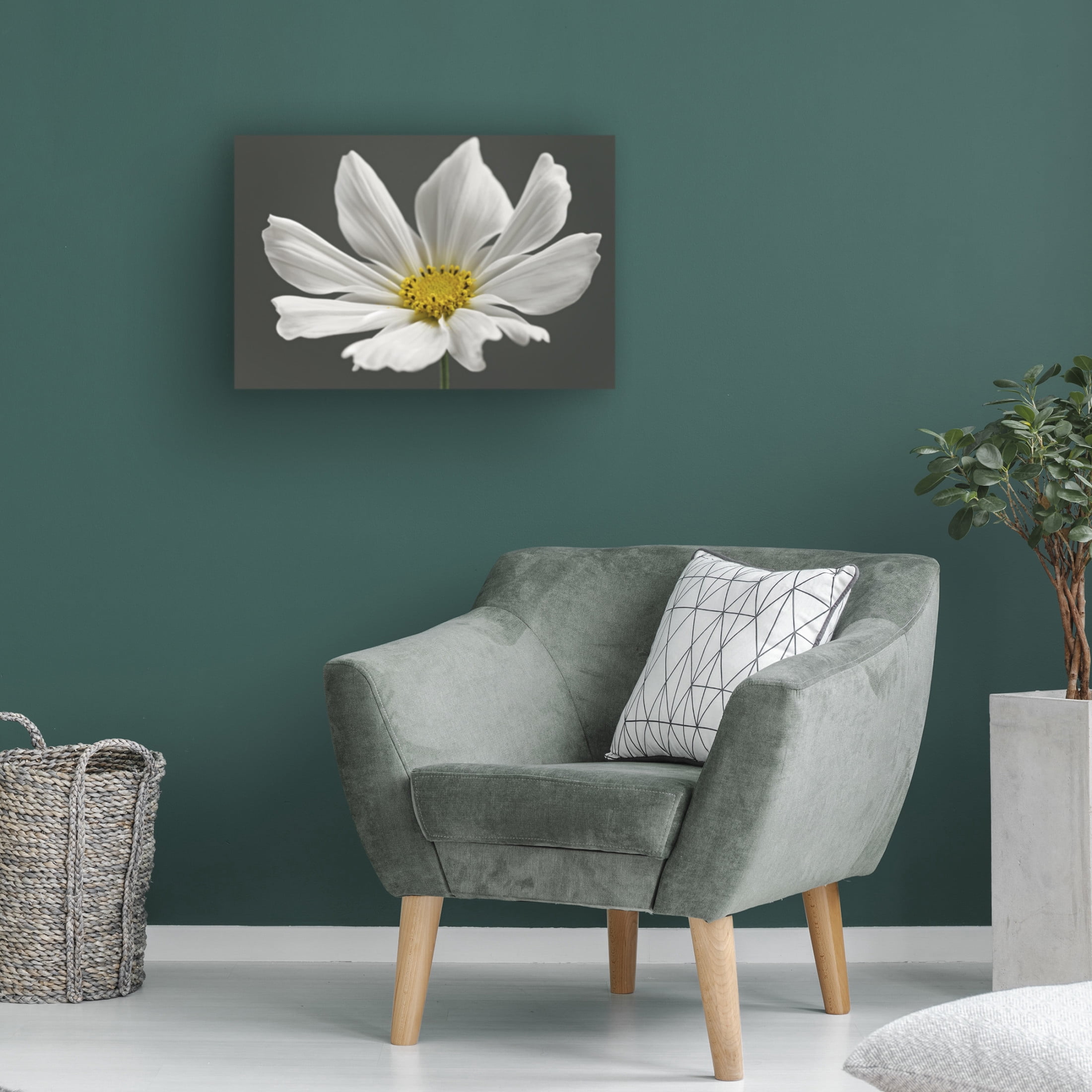 Trademark Fine Art Alyson Fennell Cosmos Flower Canvas Wall Art