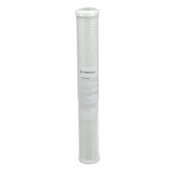 Everpure EV910863 20 in. Water Filter Cartridge for CG53-20