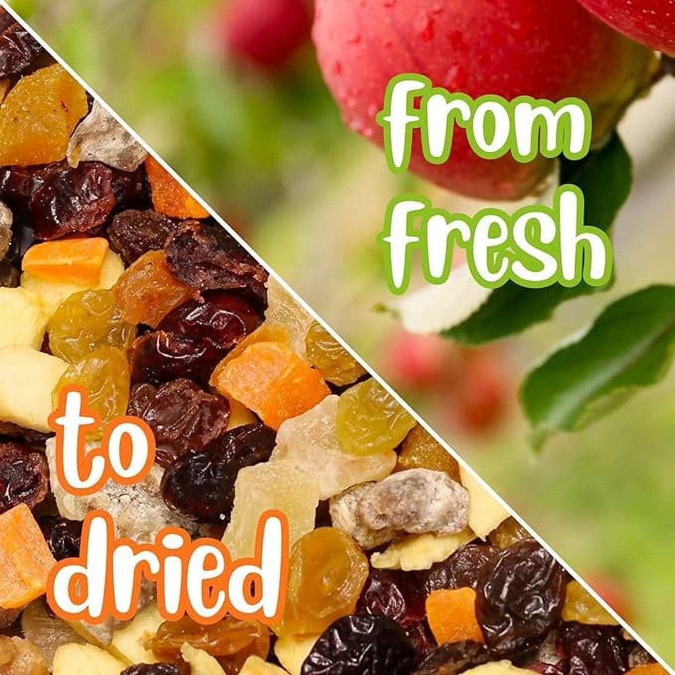 Dried Mixed Fruit Dices Medley - by Its Delish, 10 Lbs lbs Bulk Bag  Healthy Snacks for Adults, Kids & Pets  Fresh Cut Snack Mix Dry Fruit and Berries Trail Mix without Nuts  Gluten Free, Vegan