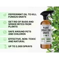 thumbnail image 2 of Spray para plantas Kate's Garden, insecticida y hongos, 480 ml, 2 of 9