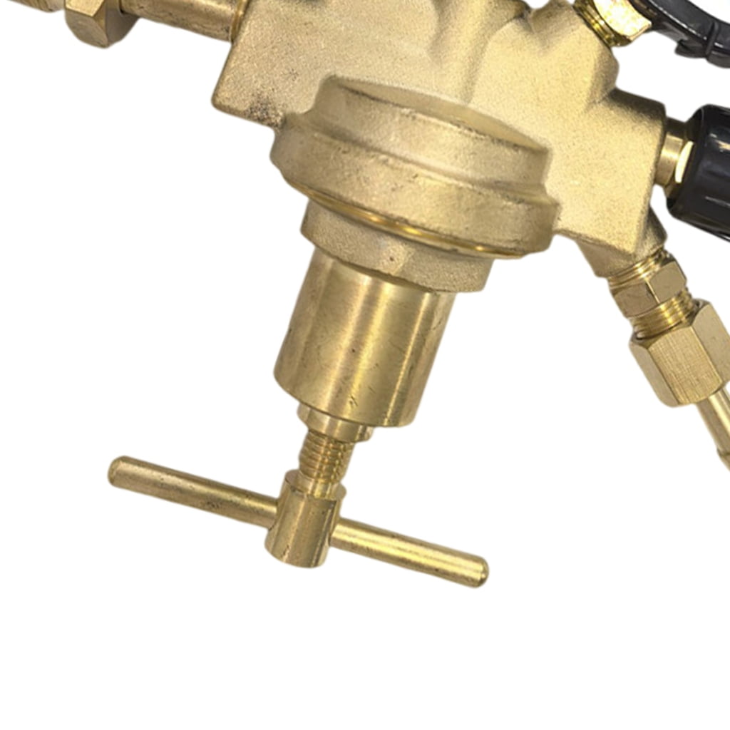 CEORPER Dense Bronze Gas Regulator G3/4 Connection CO2 Rare Consistent Industrial Safety Standard