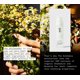 thumbnail image 3 of Crema hidratante facial PAI SKINCARE The Anthemis Chamomile 50 ml, 3 of 9