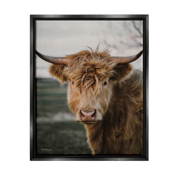 Stupell Industries Highland Cow Photography Animals & Insects Photography Black Floater Framed Art Print Wall Art, 17 x 21