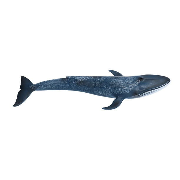 Figurita de animales Oceánicos, Figura de animal de Juguete de Ballena Azul popular realista para estimular la imaginación y la creatividad para el regalo de vacantes