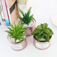 thumbnail image 5 of Plantas suculentas artificiales: miniplantas suculentas artificiales mejoradas en macetas para la decoración de escritorios de la oficina en casa, pequeñas suculentas artificiales variadas en macetas, 5 of 5
