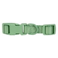 thumbnail image 3 of Vibrant Life Polyester Adjustable Collar for Dogs, Sage Green, Medium, 3 of 6