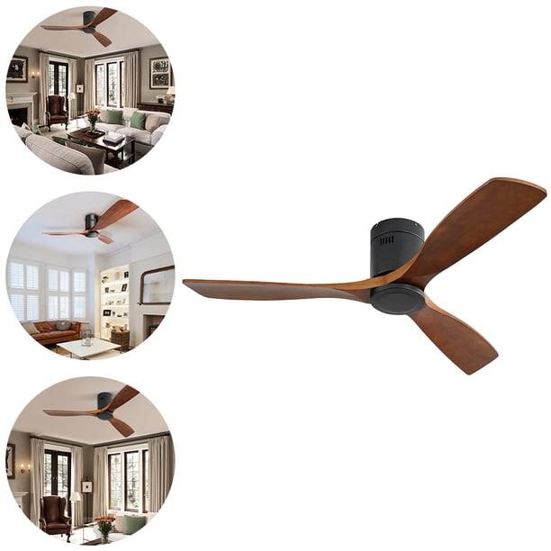 Reverse Fan