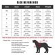 thumbnail image 3 of Winter Pet Dog Down Jacket Clothes Dog Face Warm Thick Stitching Pet Coat Teddy Chihuahua Puppy Vest for Small Medium Dogs ShopWise Round, 3 of 10