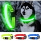 thumbnail image 2 of Collar LED recargable por USB para perros: el collar intermitente proporciona visibilidad y seguridad para su perro., 2 of 5