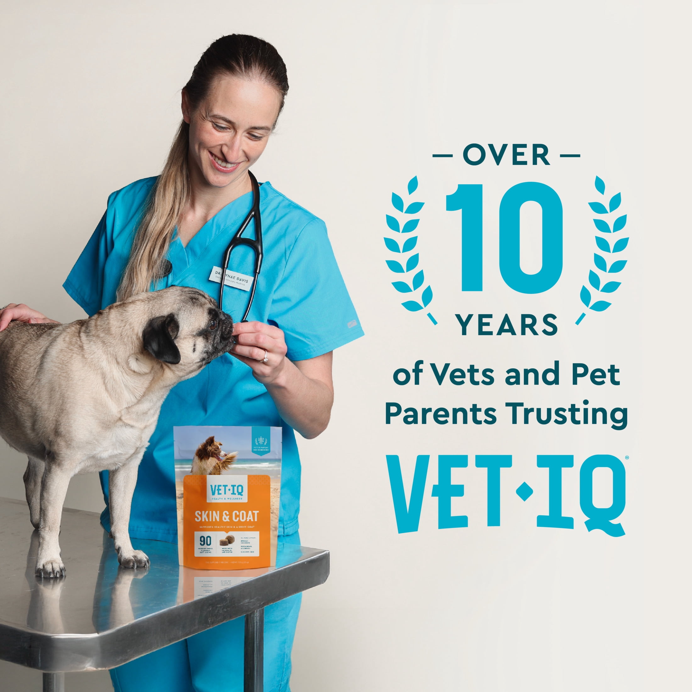 (6 pack) VetIQ Skin & Coat Chews for Dogs
