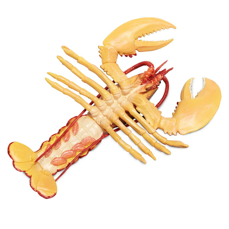 Safari Ltd Incredible Creatures Maine Lobster, Toy 