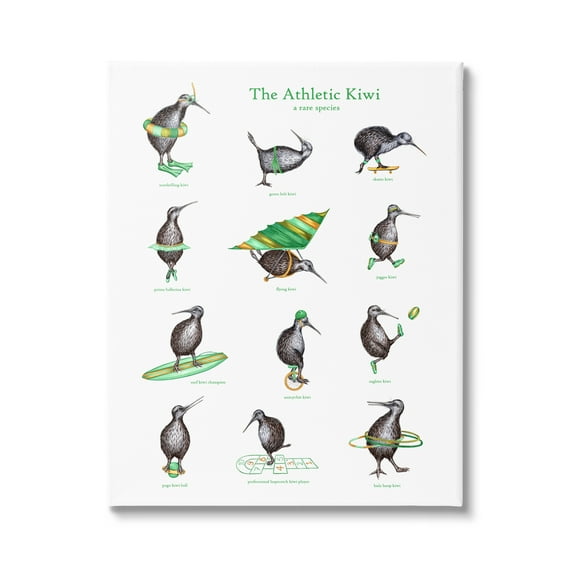 Stupell Industries Athletic Kiwi Various Exercises Bird Drawings Chart Graphic Art Gallery Wrapped Canvas Print Wall Art, Design by Amelie Legault