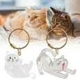 thumbnail image 4 of Porte-clés Collecteur de Poils de Chat Boîte de Rangement Commémorative, Souvenir de Poils d'Animaux, Porte-Clés Mignon Transparent pour Collecter les Poils de Chat, 4 of 8