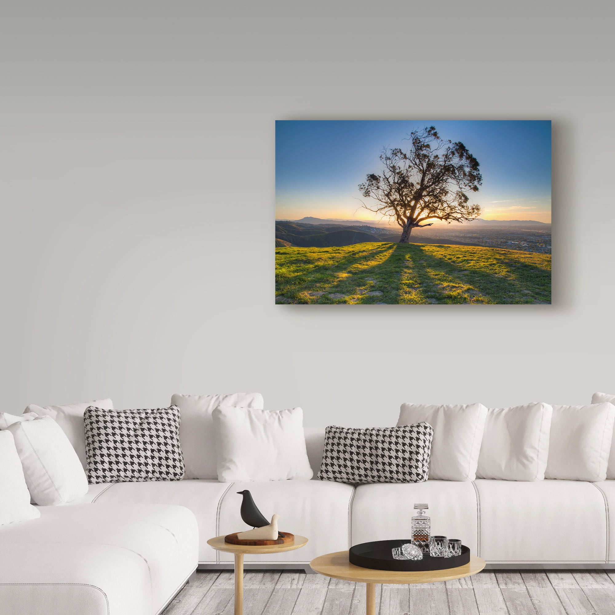 Trademark Fine Art 'Tree Shadows' Canvas Art by Chris Moyer