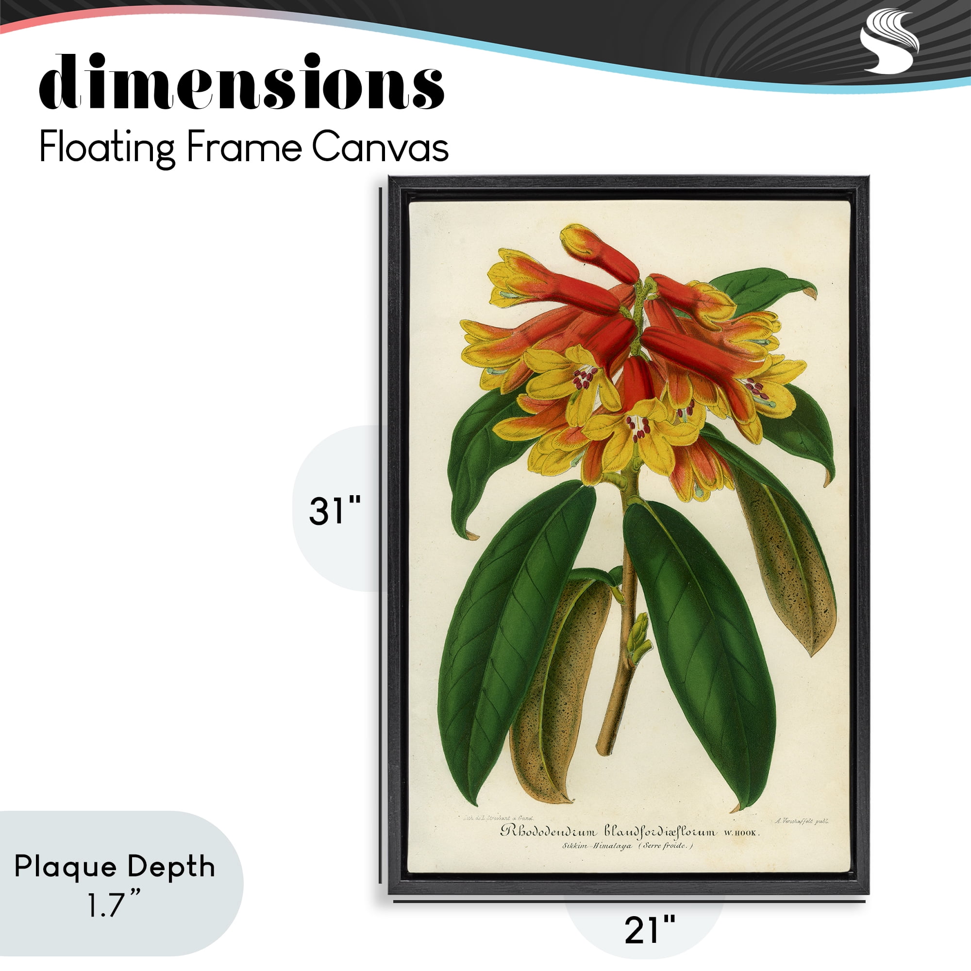 Stupell Industries Orange Yellow Rhododendron Black Framed Floater Canvas Wall Art, design by Print Collection
