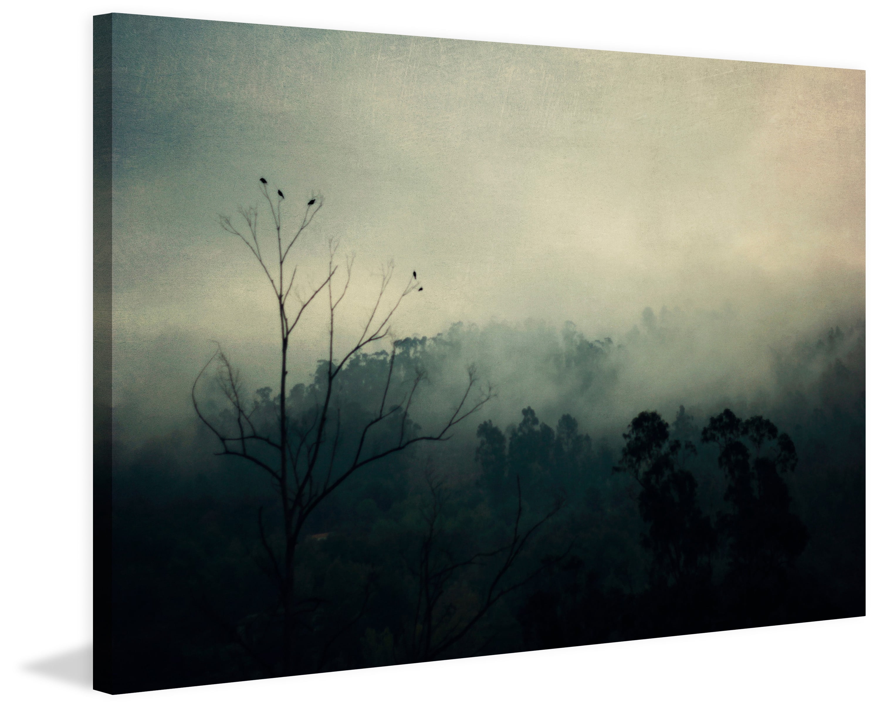 "Bird Song" Painting Print on Wrapped Canvas