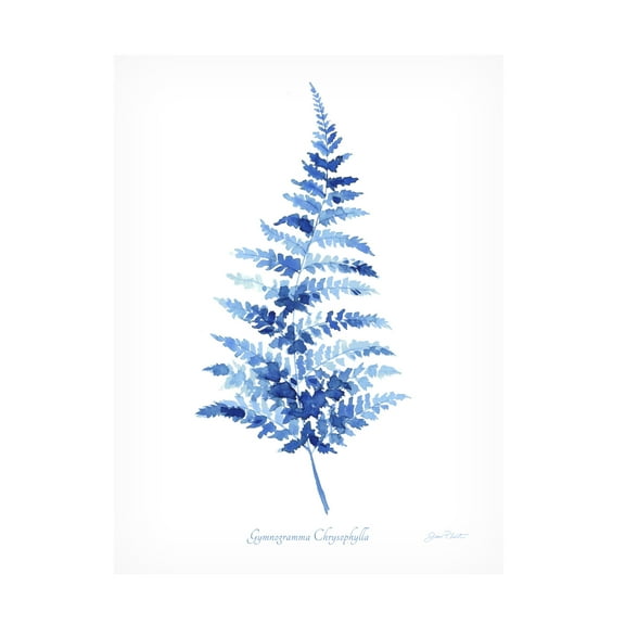 Canvas Wall Art - Jean Plout 'Indigo Botanical 10' Wall Art for Living Room, Bedroom, or Office Décor by Trademark Fine Art - 14 x 19 Inches