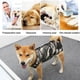 thumbnail image 4 of Traje postoperatorio para perros, traje de esterilización/castración transpirable de alta elasticidad para perros después de la cirugía, 1 Uds., 4 of 5