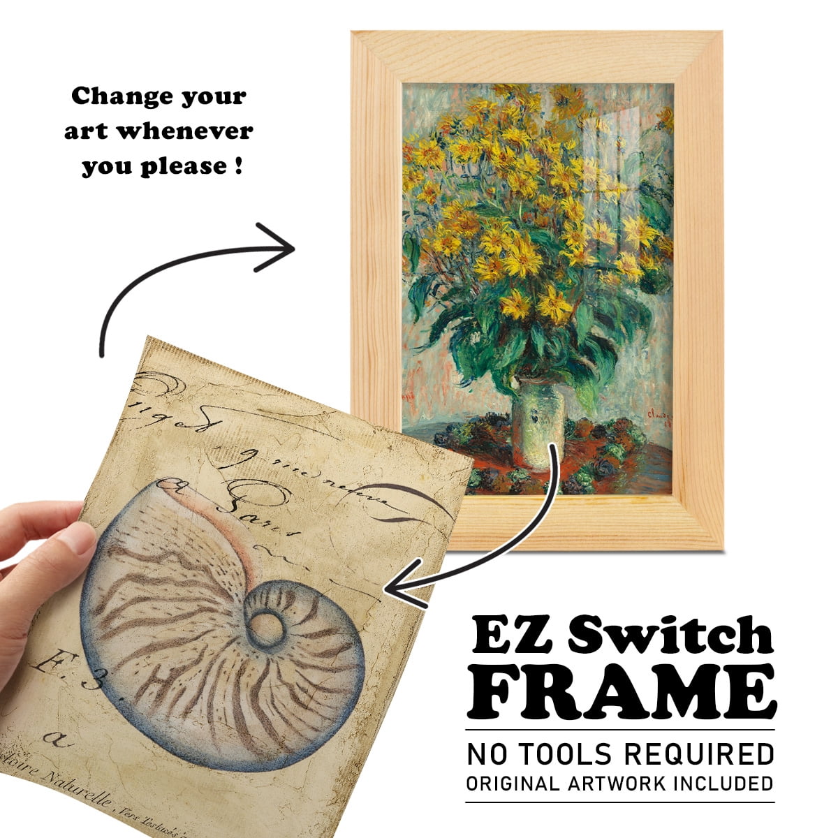 Seashell Ephemera II - Framed Print w/glass - Natural Wood