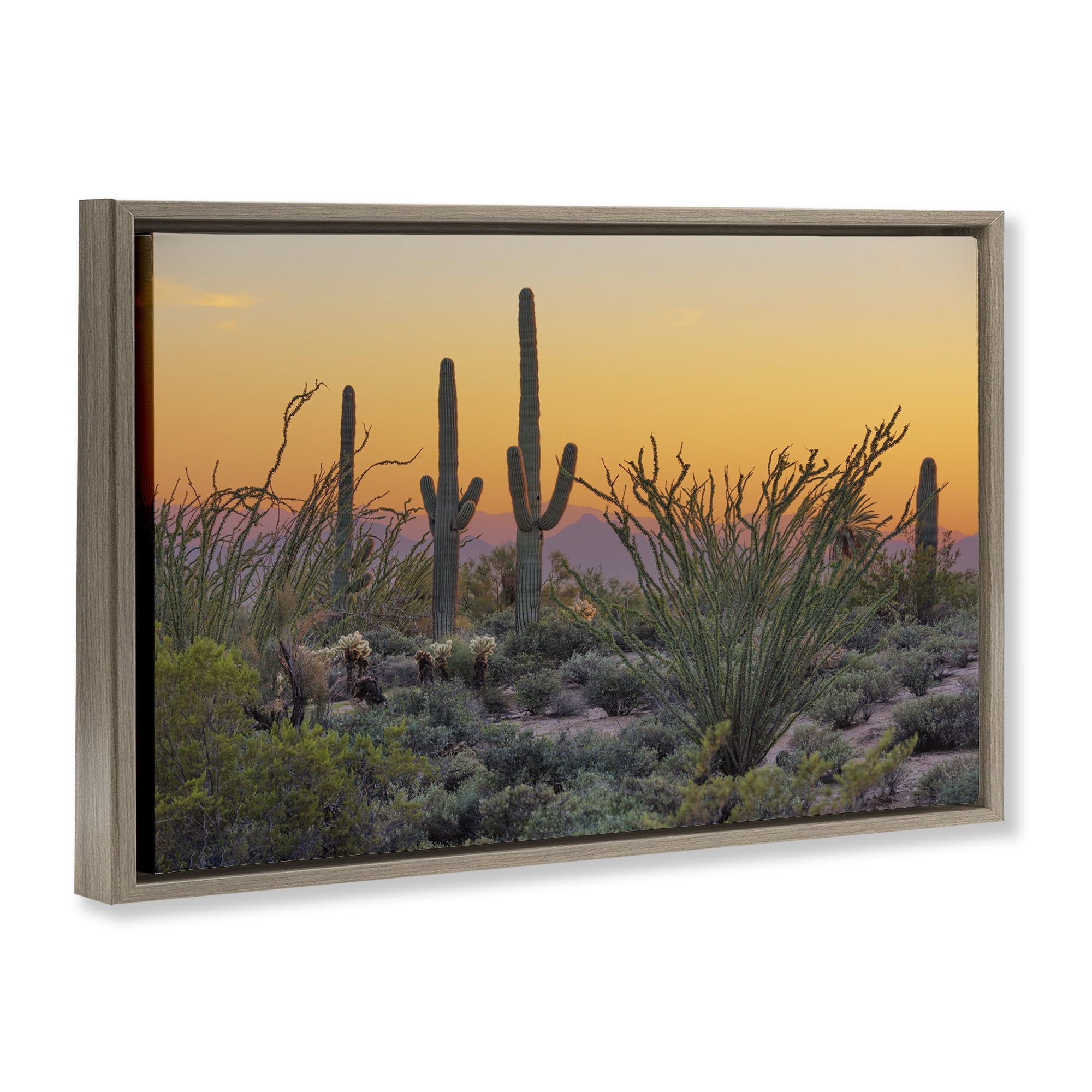 Stupell Industries Sunset Desertscape Cacti Landscape & Nature Photography Brown Floater Framed Canvas Art Print Wall Art, 31 x 21