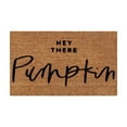 thumbnail image 1 of Chmadoxn Bathroom Rugs, Rugs for Living Room, Area Rug, Bath Mat Halloween Printed Carpet Non-slip Entry Door Entry Mat Absorbent Bathroom Kitchen Entryway Mat household use, 1 of 2