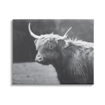 Stupell Country Cattle Highland Farm Animal Animals & Insects Photography Gallery Wrapped Canvas Print Wall Art
