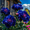 B, variant on Peony,Shade Plant for Gardens-Easy Grow-Low Maintenance-Ideal for Beds Borders, Plant Pots & Planters