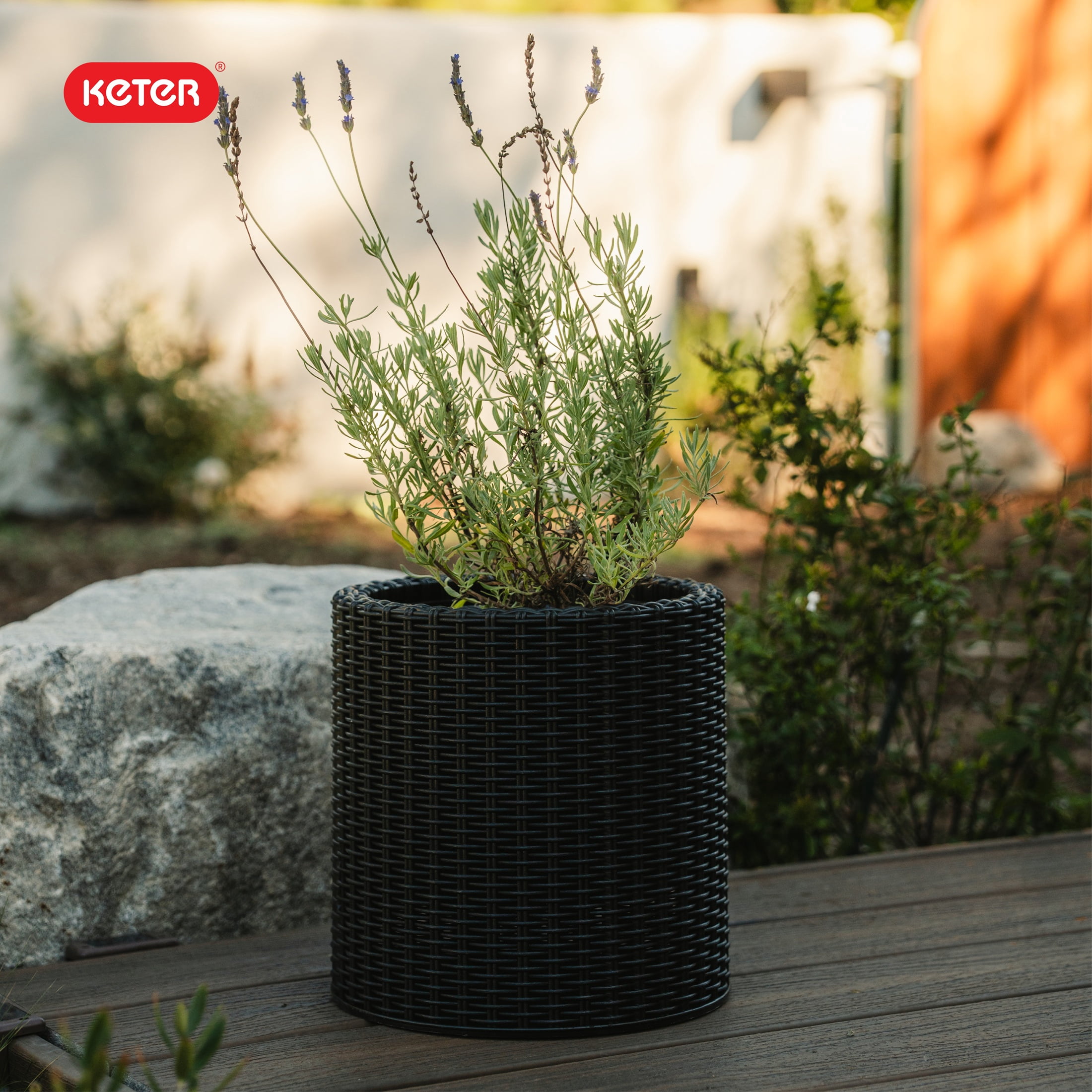 Keter Medium Cylinder Rattan Resin Planter Set of 2 for Indoor and Outdoor Plants Ideal for Patio and Porches, Graphite