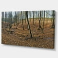 thumbnail image 2 of Woods in Fall Forest Panorama - Forest Canvas Art Print, 2 of 3