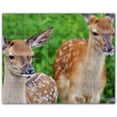 thumbnail image 1 of Picture-Tiles.com: Deer Ceramic Tile Wall Mural WAL500464-54L. 40"W x 32"H using (20) 8" x 8" Ceramic Tiles-Satin Finish, 1 of 3