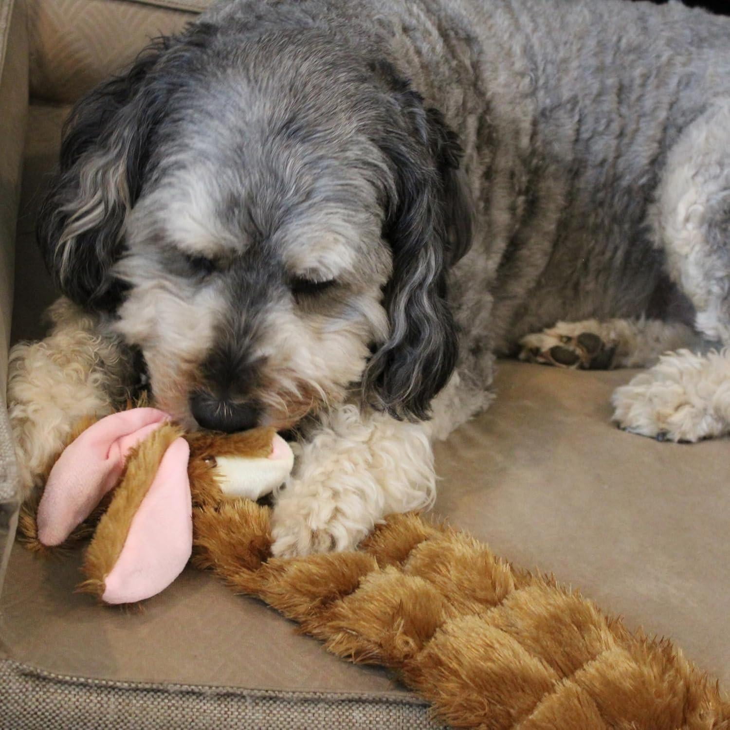 SPOT Skinneeez Tons-O-Squeakers Rabbit Dog Toy, Fun No Stuffing Dog Toys with 19 Squeakers, for Moderate Chewers, Medium to Large Puppies & Dogs, 20in