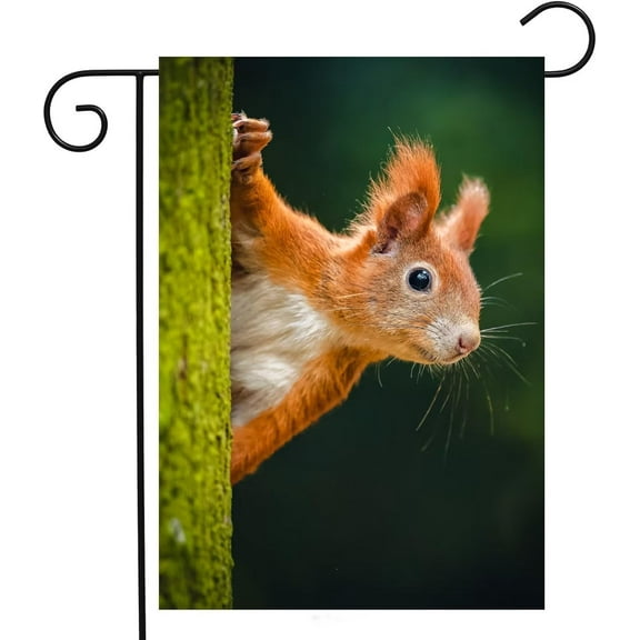 Beautiful Autumn Nature Wild Animal Cute Red Squirrel Looking From Behind Tree Garden Yard Flag 12"x 18" Double Sided Polyester Welcome House Flag for Patio Lawn Outdoor Home Decor