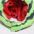 thumbnail image 3 of Sombrero De Sandía, Tocado De Frutas, Tocado, Cubierta Para La Cabeza, Duradero Para Navidad Sunnimix Sombrero de sandía, 3 of 8