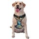 thumbnail image 1 of Fotbe Colorful Stained Glass Deer Arnés para Perro con Estampado –Chaleco Ajustable Acolchado con Asa de Control para Perros Grandes-Medium, 1 of 6