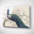 thumbnail image 2 of Epic Art 'Peacock & Blossoms II' by Tim O'Toole, Acrylic Glass Wall Art, 24"x16", 2 of 3
