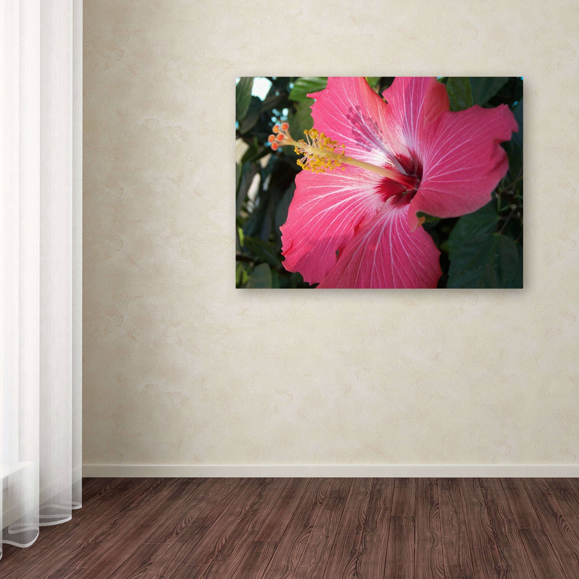 Trademark Fine Art "Empowering Bliss" Canvas Art by Monica Fleet