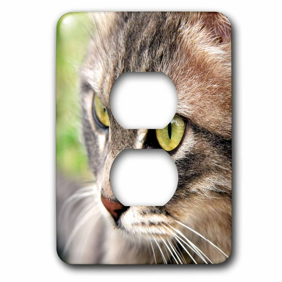 3dRose, Cat Tabby Cat, 2 plug outlet cover