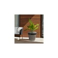 thumbnail image 5 of Grey Concrete Planter - Modern Indoor/Outdoor Accent Pot - Black Detail, 5 of 6