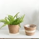 thumbnail image 2 of maceta tejida, cesta para flores naturales, cesta para plantas, cesta tejida natural, 2 of 5