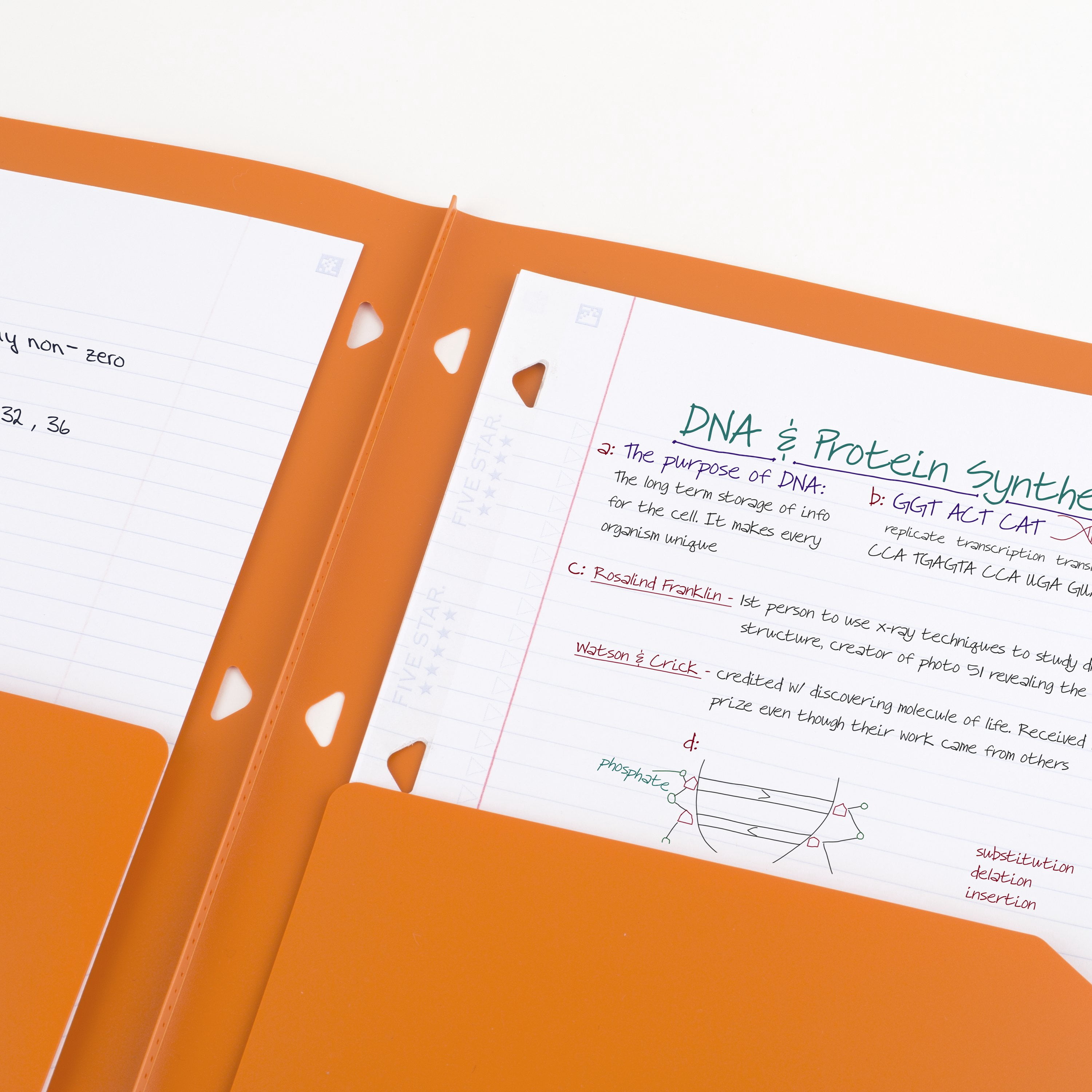 Five Star Clearview 2 Pocket Portfolio Orange