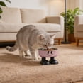 thumbnail image 3 of Bol de Nourriture Surélevé Station d'Alimentation en Acier Inoxydable, et Bol de Nourriture pour Chat une Assiette Surélevée en Acier Inoxydable pour Réduire la Pression sur le Cou pour Petits Chiens Accessoires Batterie pour la Pluie des Chiens, 3 of 3