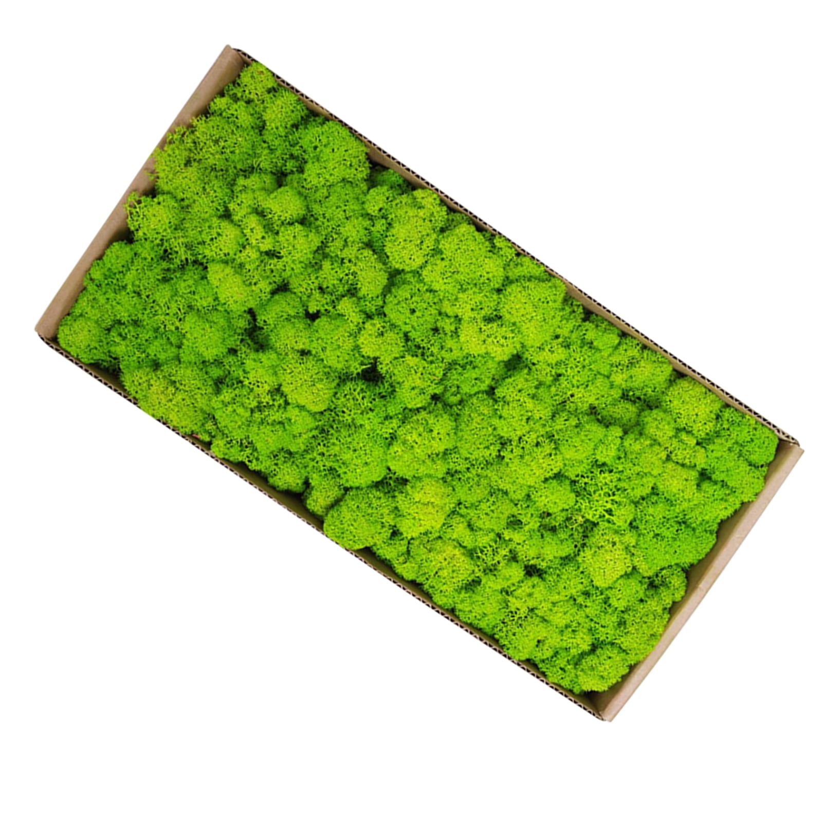 Moss Wall Decor Indoor Preserved Moss Gardenning Art Wall Decor Moss Bulk Micro Landscape Decorative Props