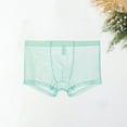 thumbnail image 4 of ruhuadgb Men Boxers Breathable Elastic Mesh Low Waist Ice Silk Cooling Anti-septic See-through Men Panties Men Underwear, 4 of 8